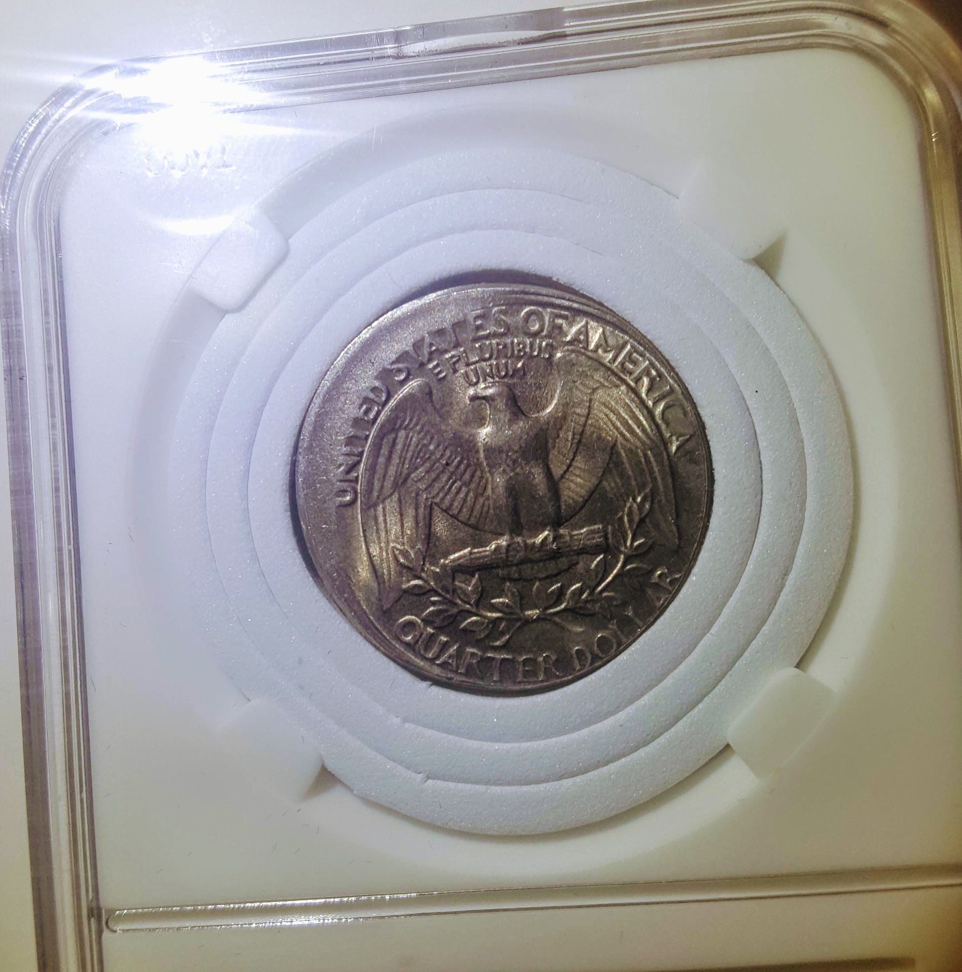20190418_224916.jpg