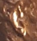20190420_142423.jpg