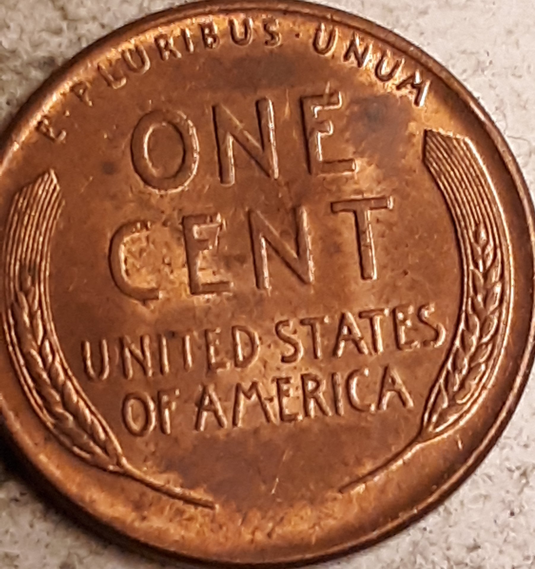 20190420_230459.jpg
