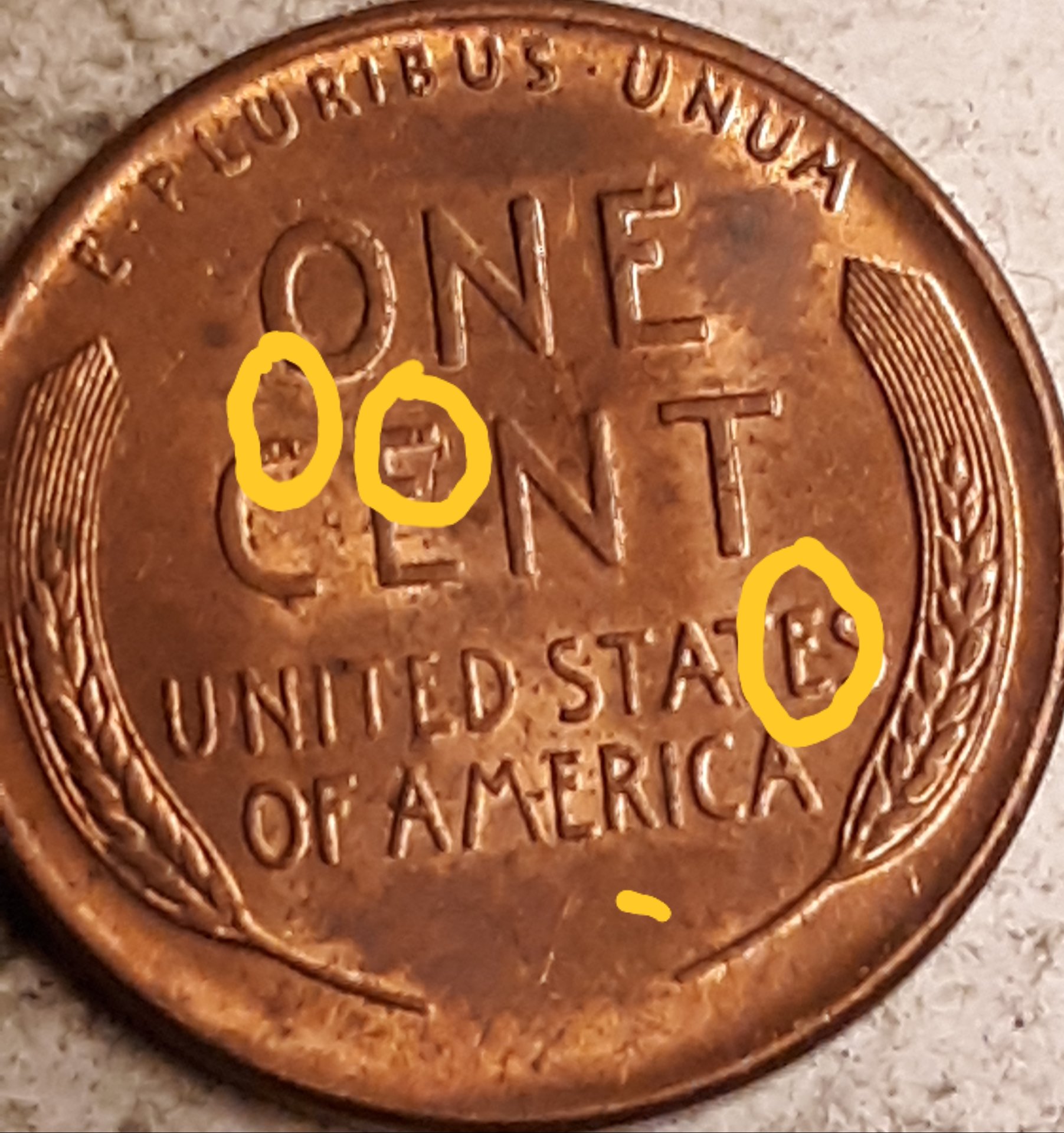 20190420_231757.jpg