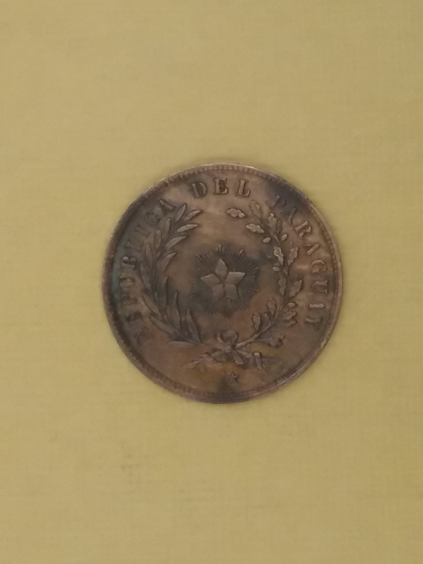 20190421_083727.jpg