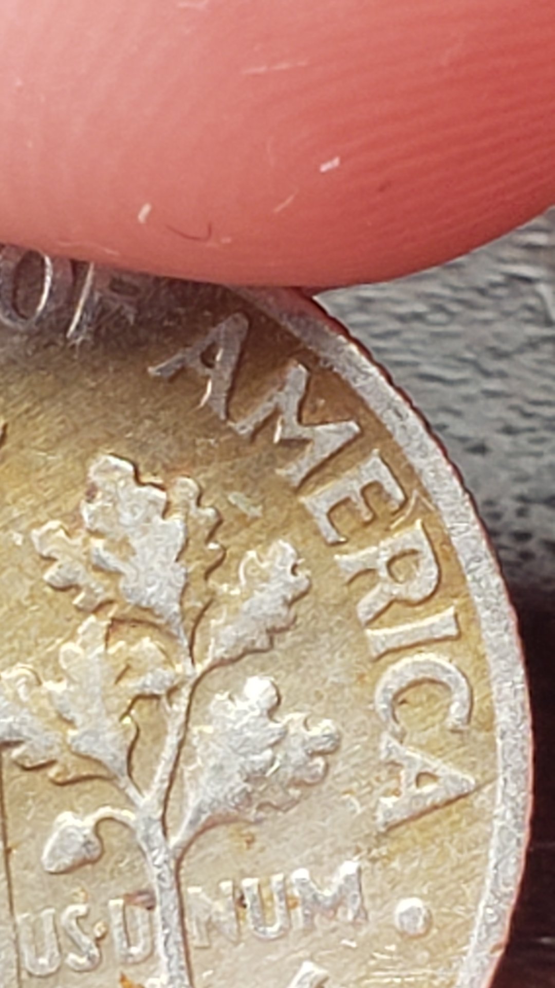 20190421_152224.jpg