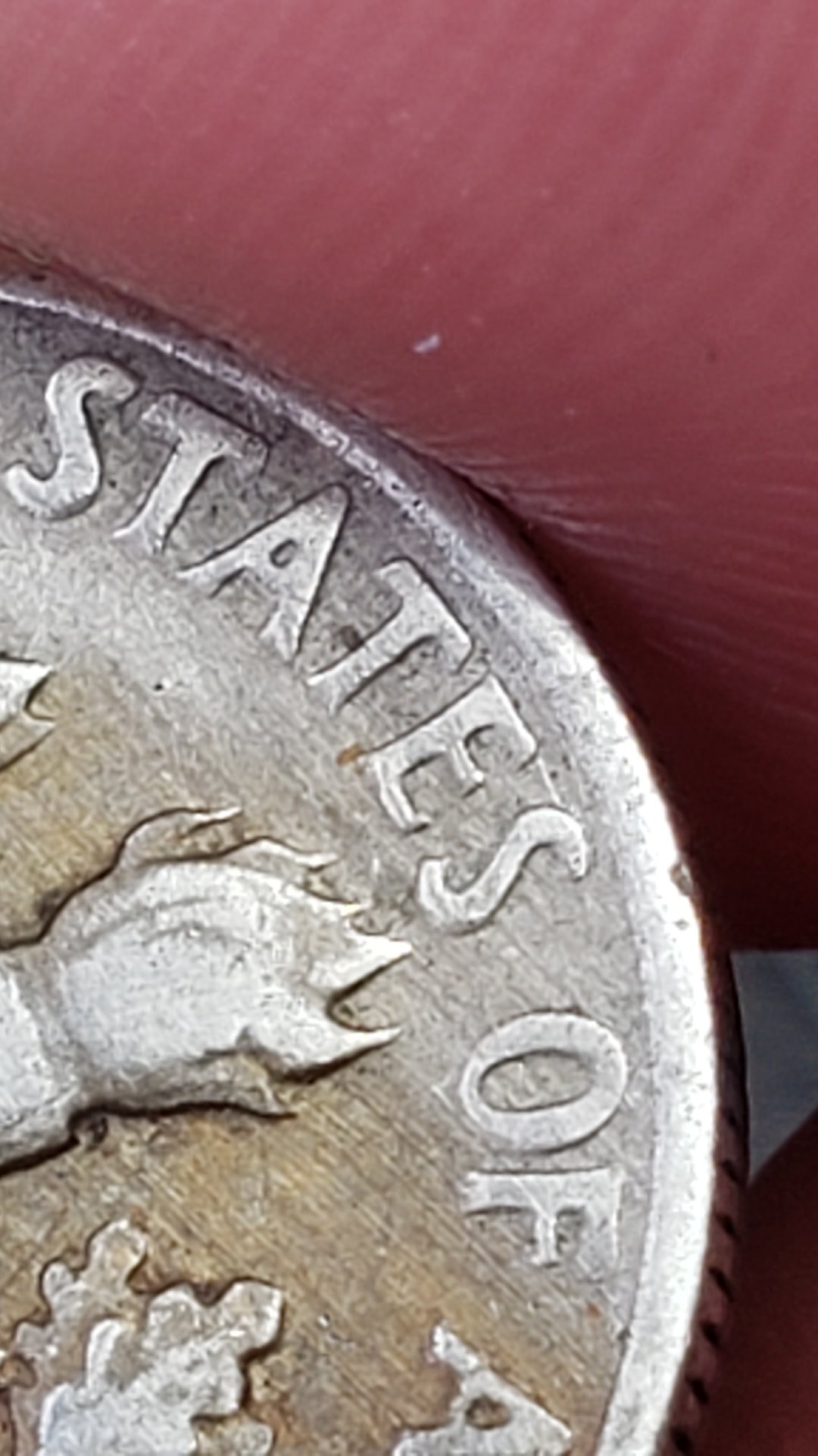 20190421_152931.jpg