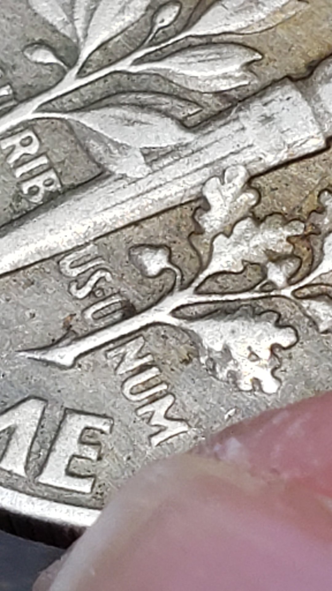 20190421_153010.jpg