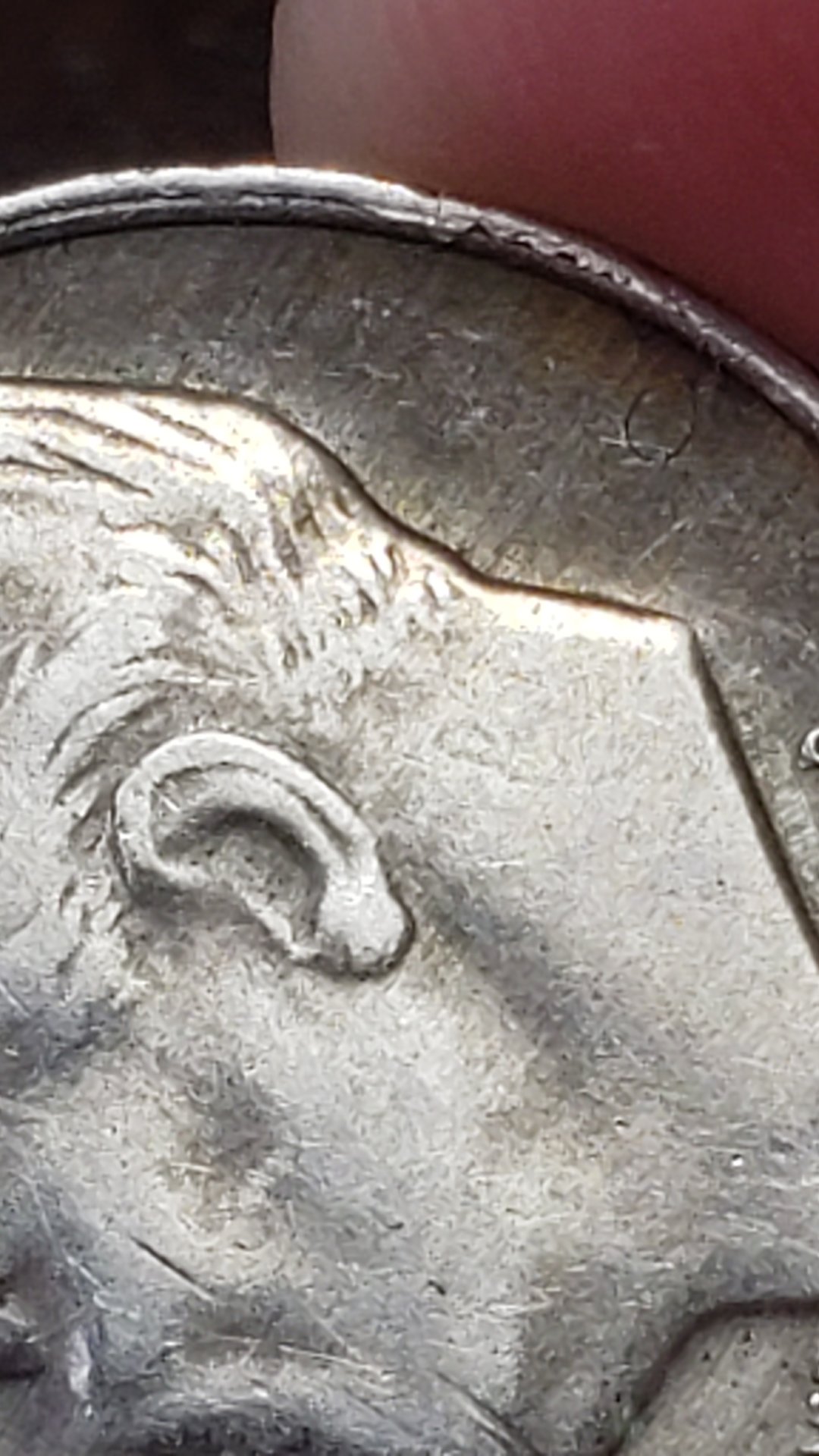 20190421_153105.jpg
