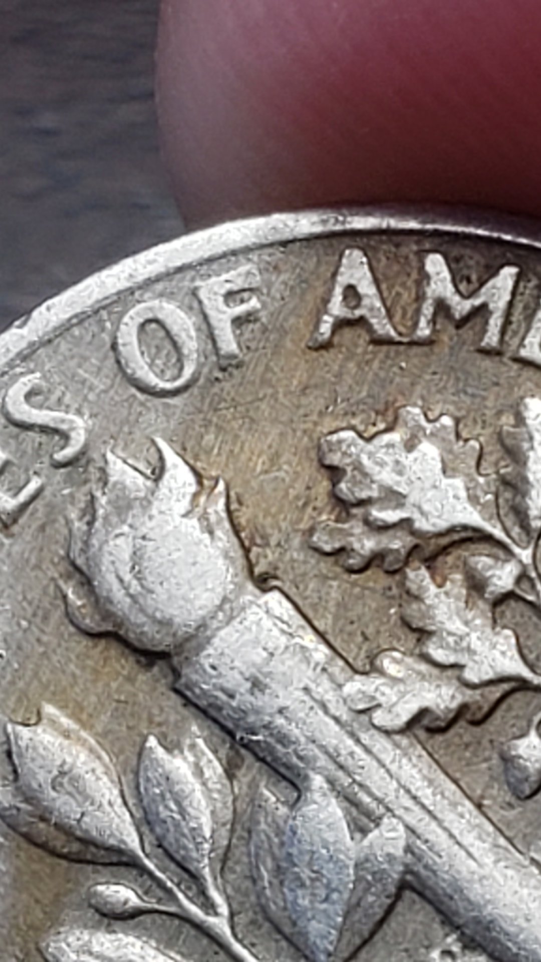 20190421_153637.jpg
