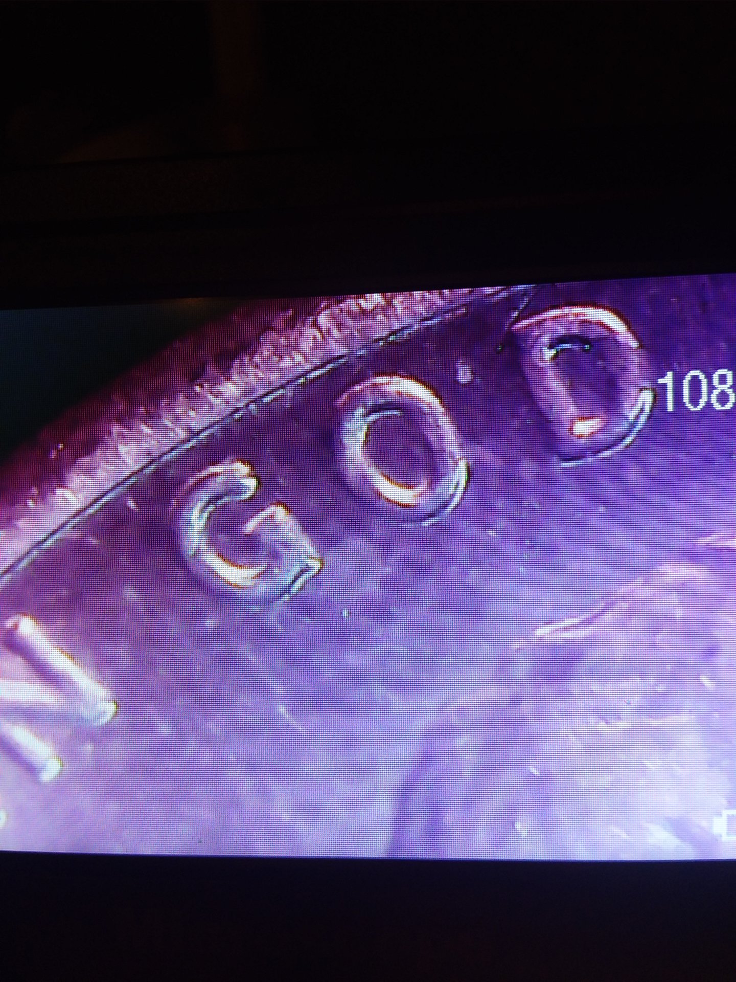 20190422_231521.jpg