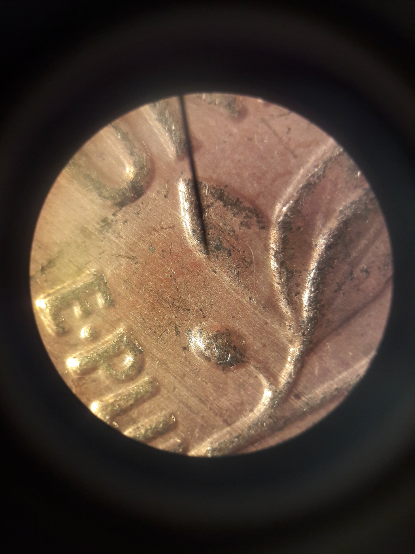 20190423_100047.jpg