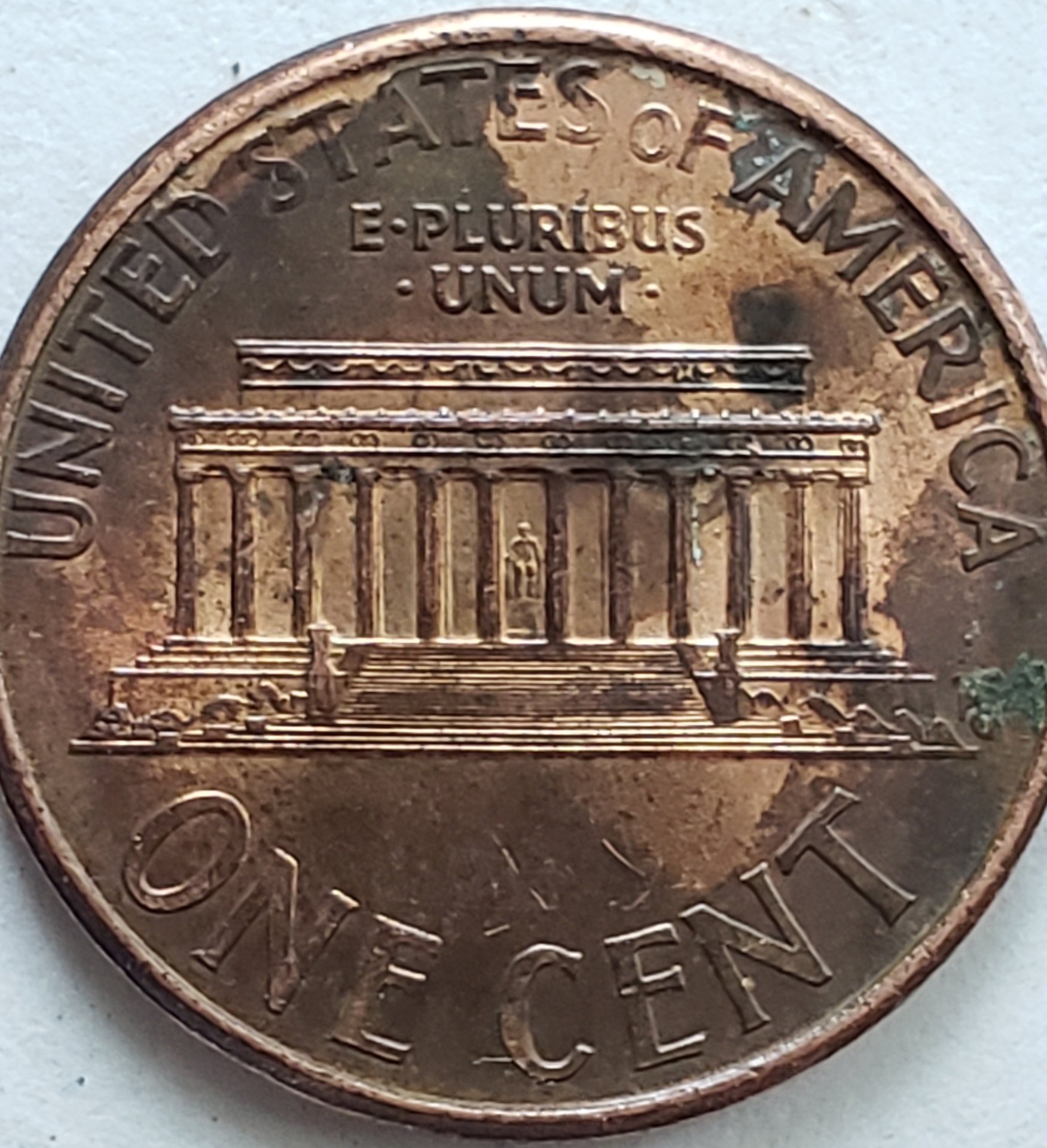 20190424_173358.jpg