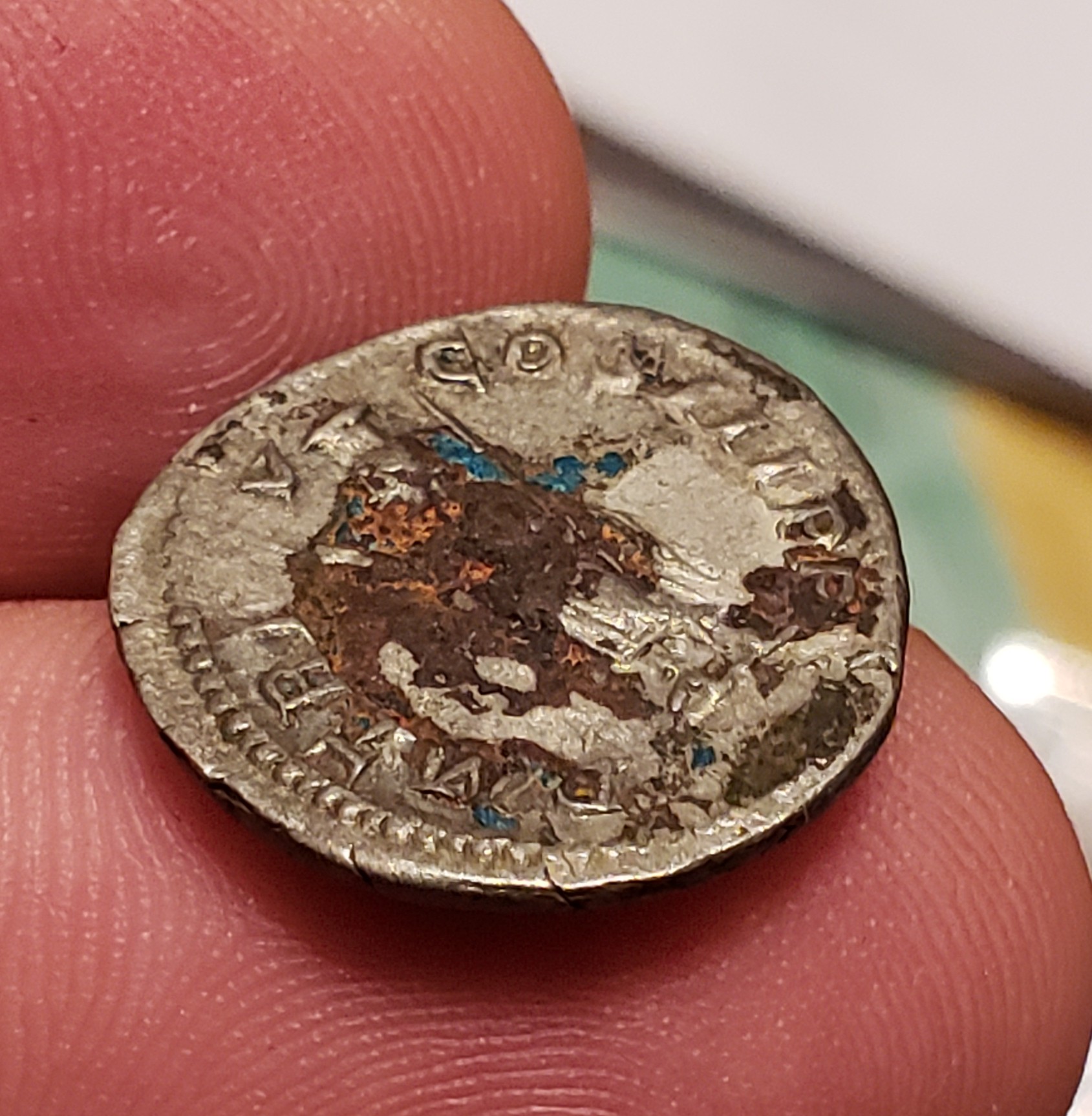 20190426_211136.jpg