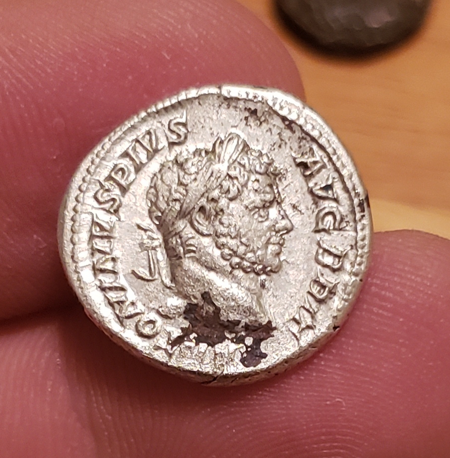 20190426_232145.jpg