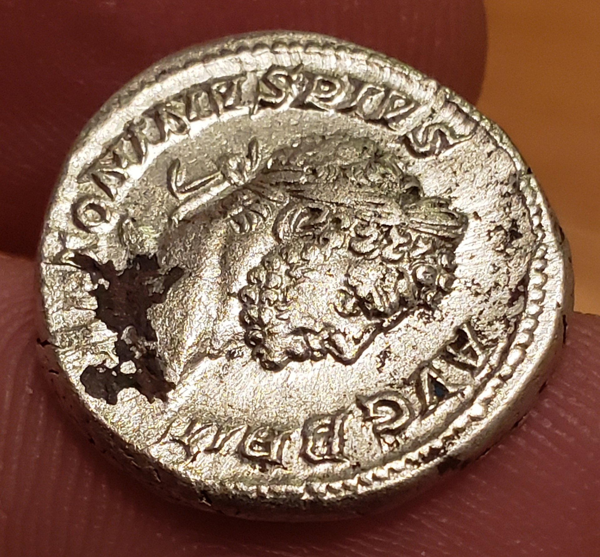20190426_232325.jpg