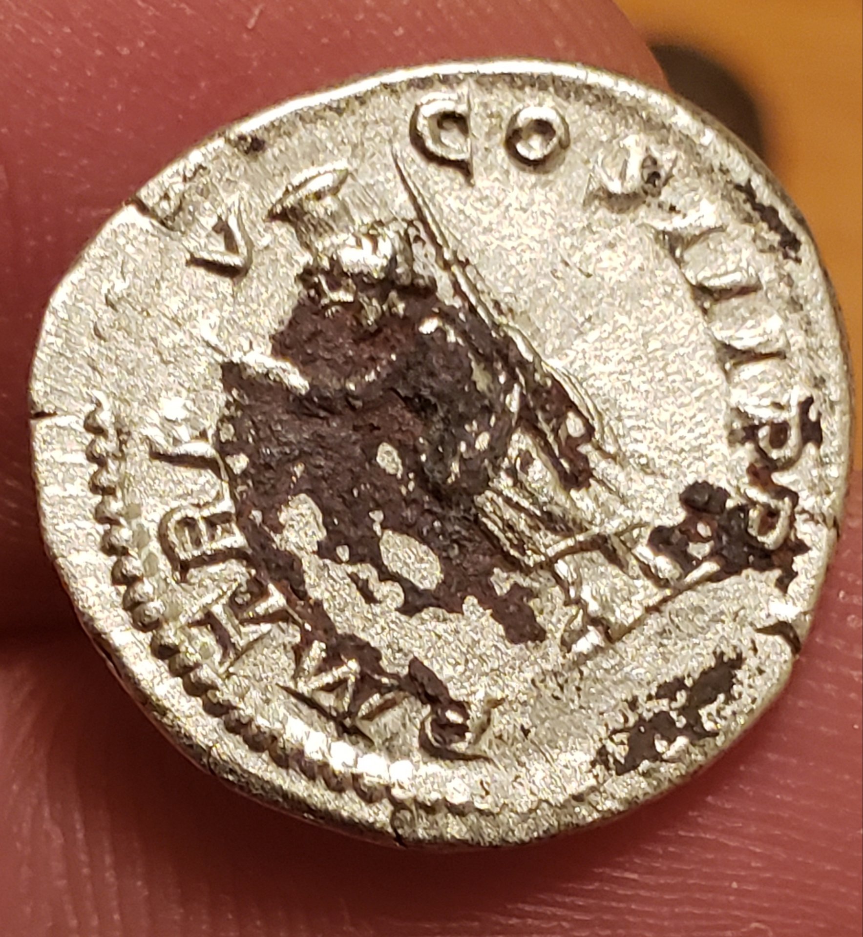 20190426_232352.jpg