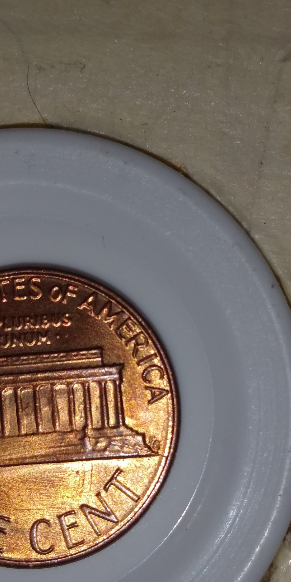 20190427_115244.jpg