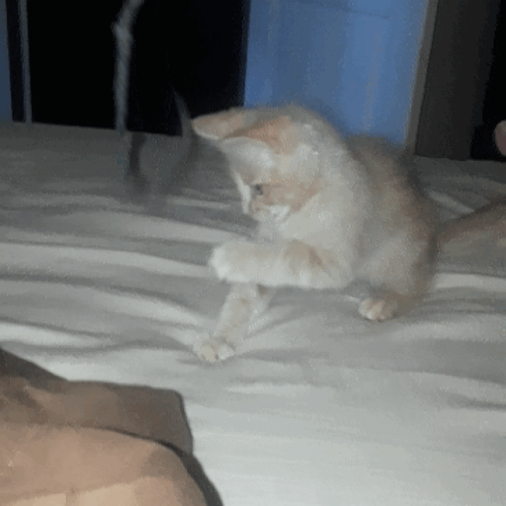 20190428_140119.gif