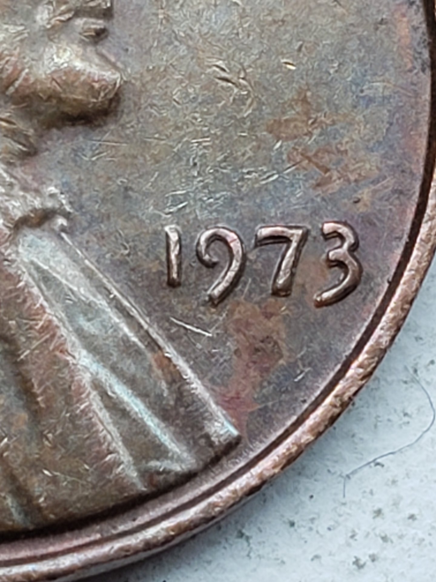 20190501_133433.jpg