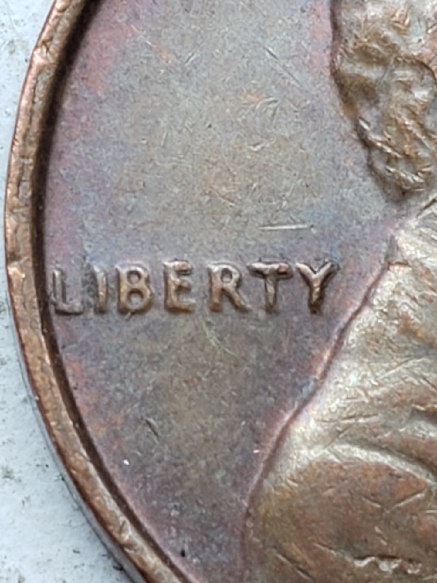 20190501_133441.jpg