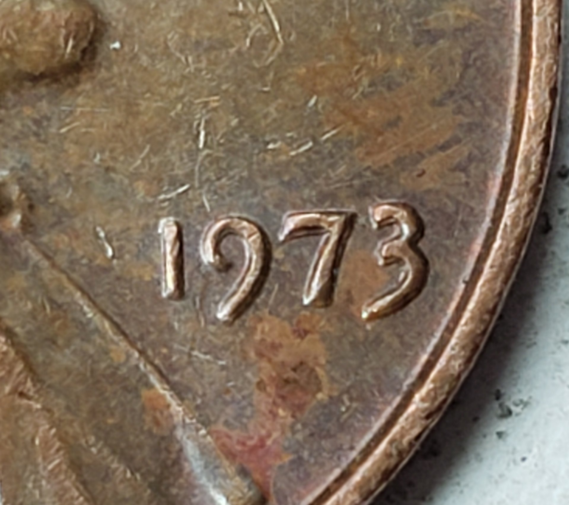 20190501_134647.jpg
