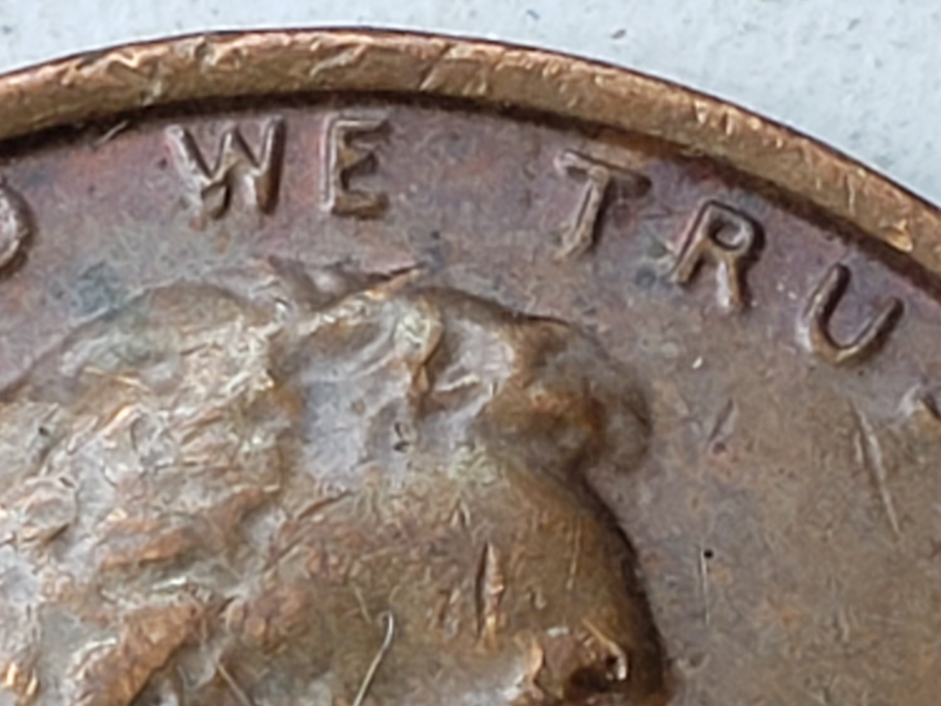 20190501_134730.jpg