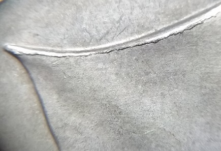 20190501_163843.jpg