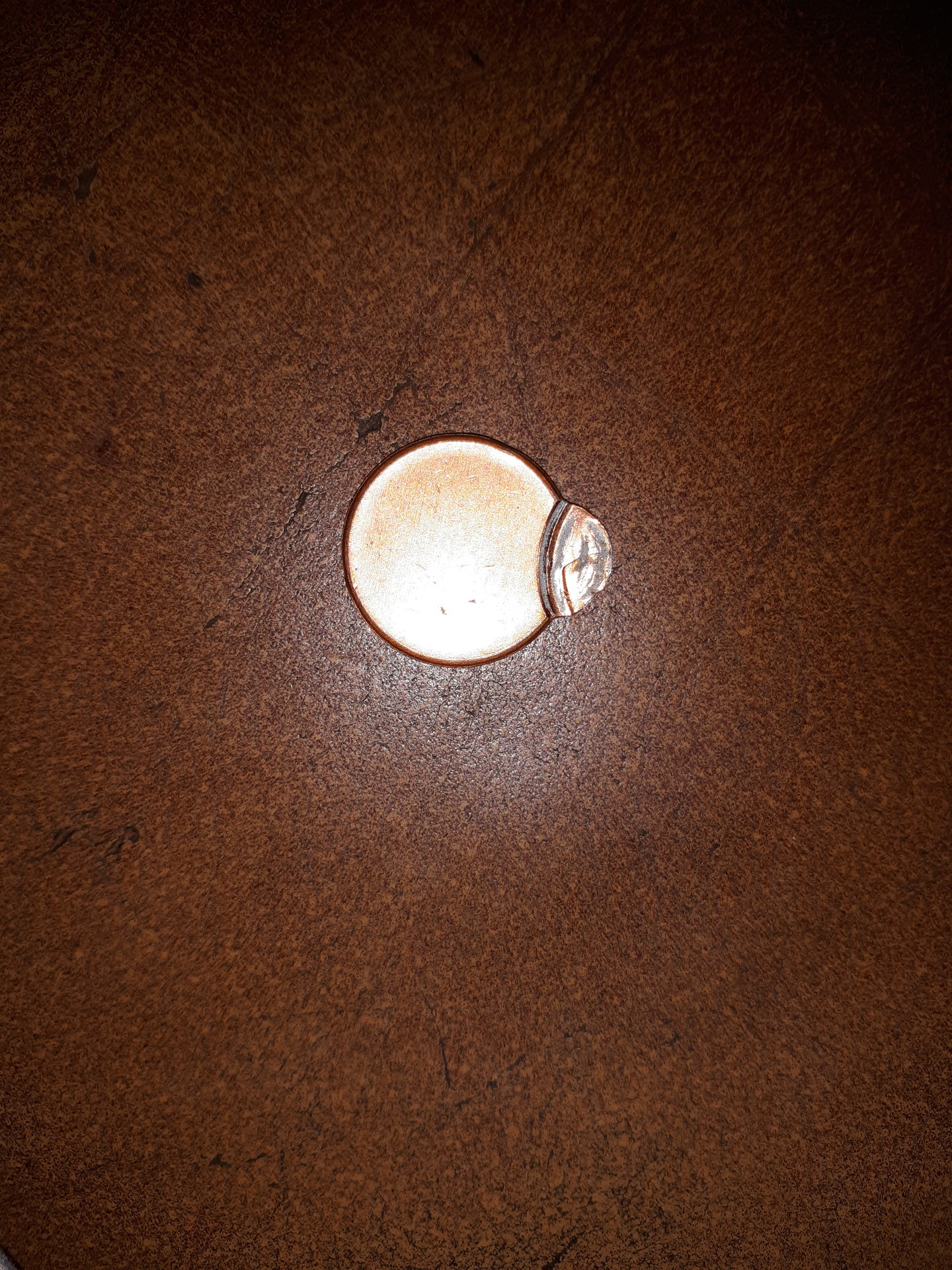 20190502_101818.jpg