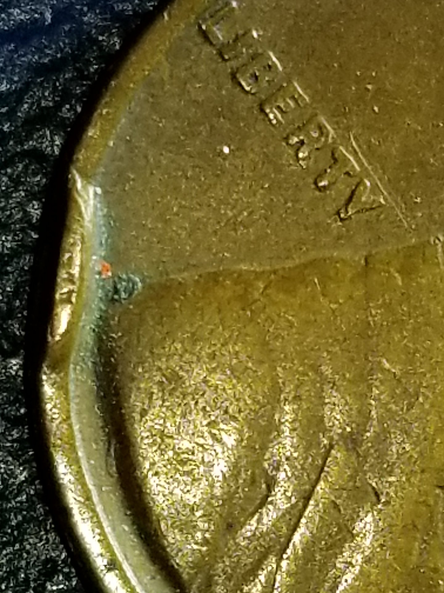 20190502_130338.jpg