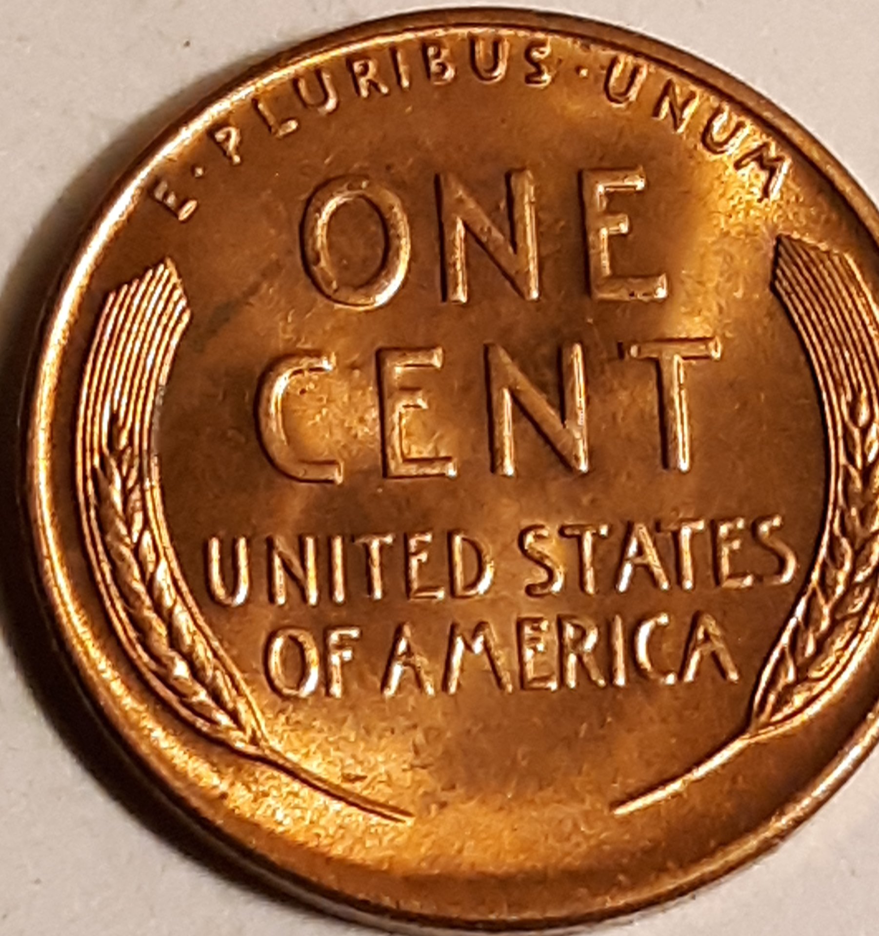 20190502_230233.jpg
