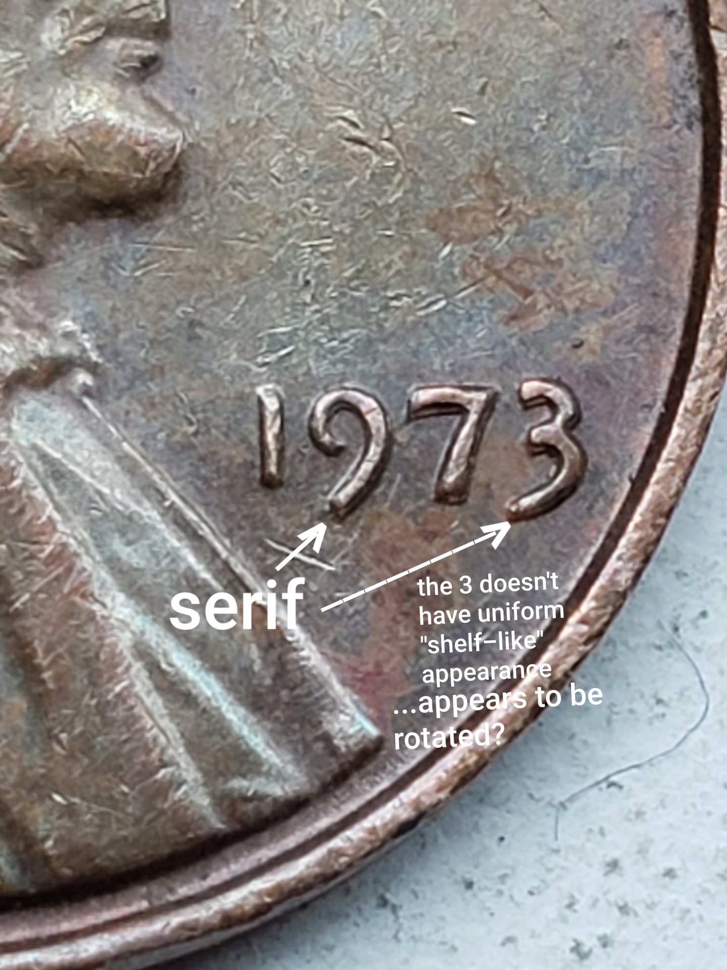 20190503_083749.jpg
