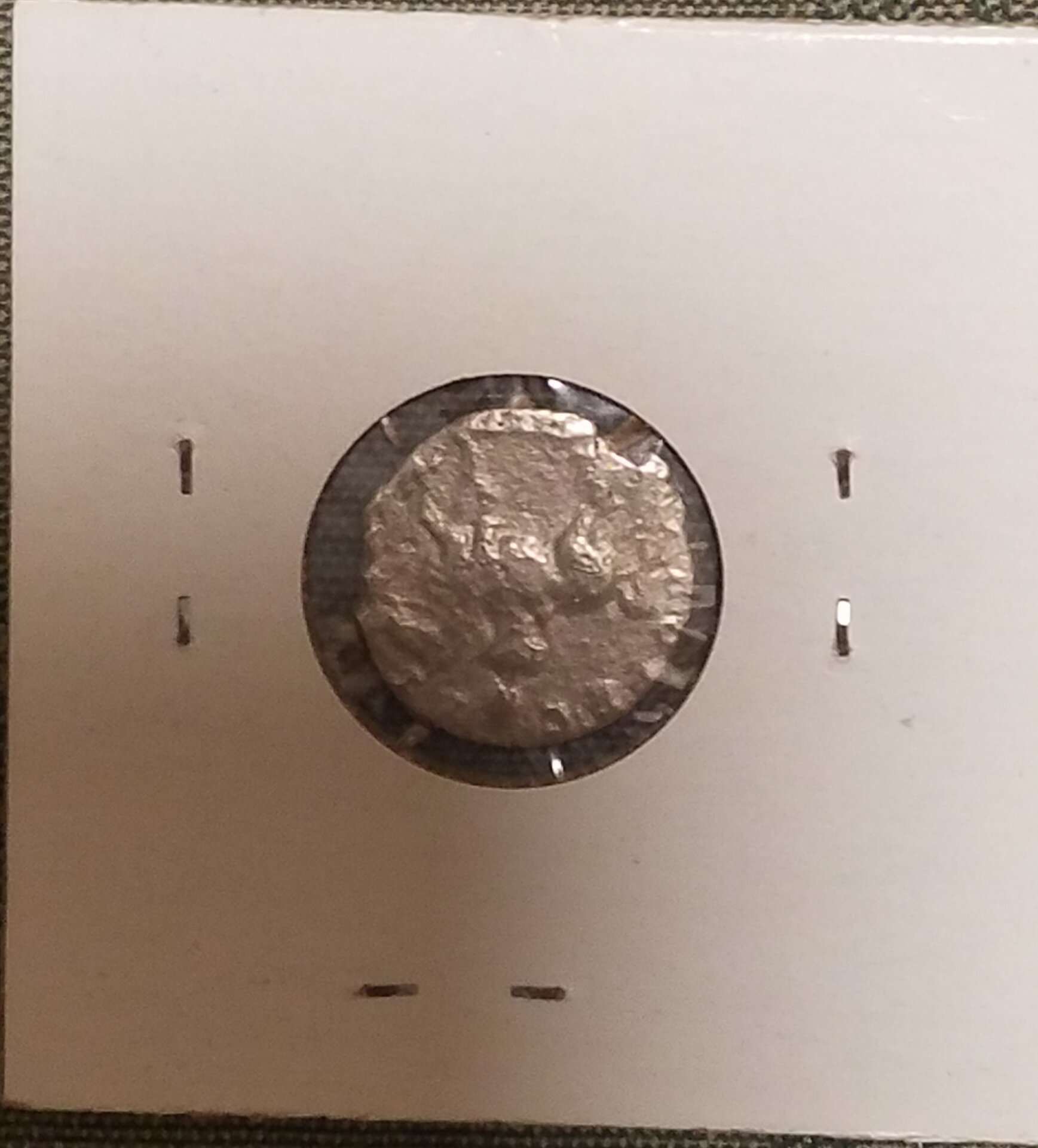 20190503_201507.jpg