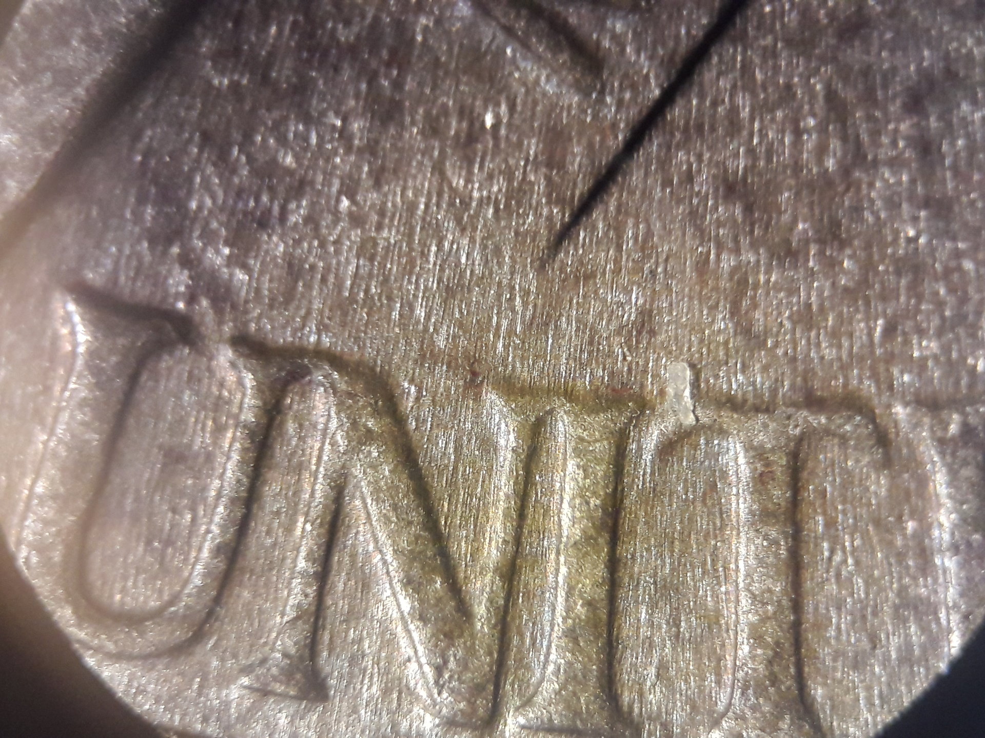 20190504_110159.jpg