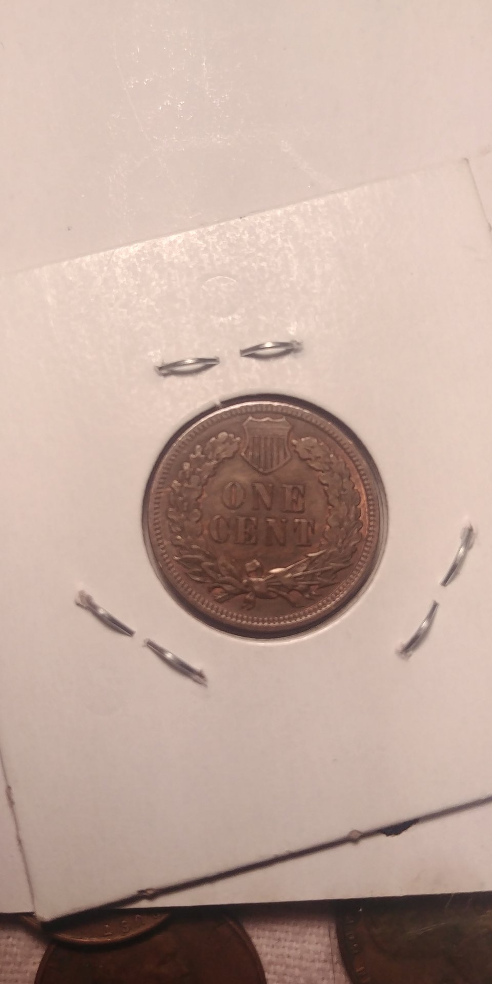20190504_121317_HDR.jpg