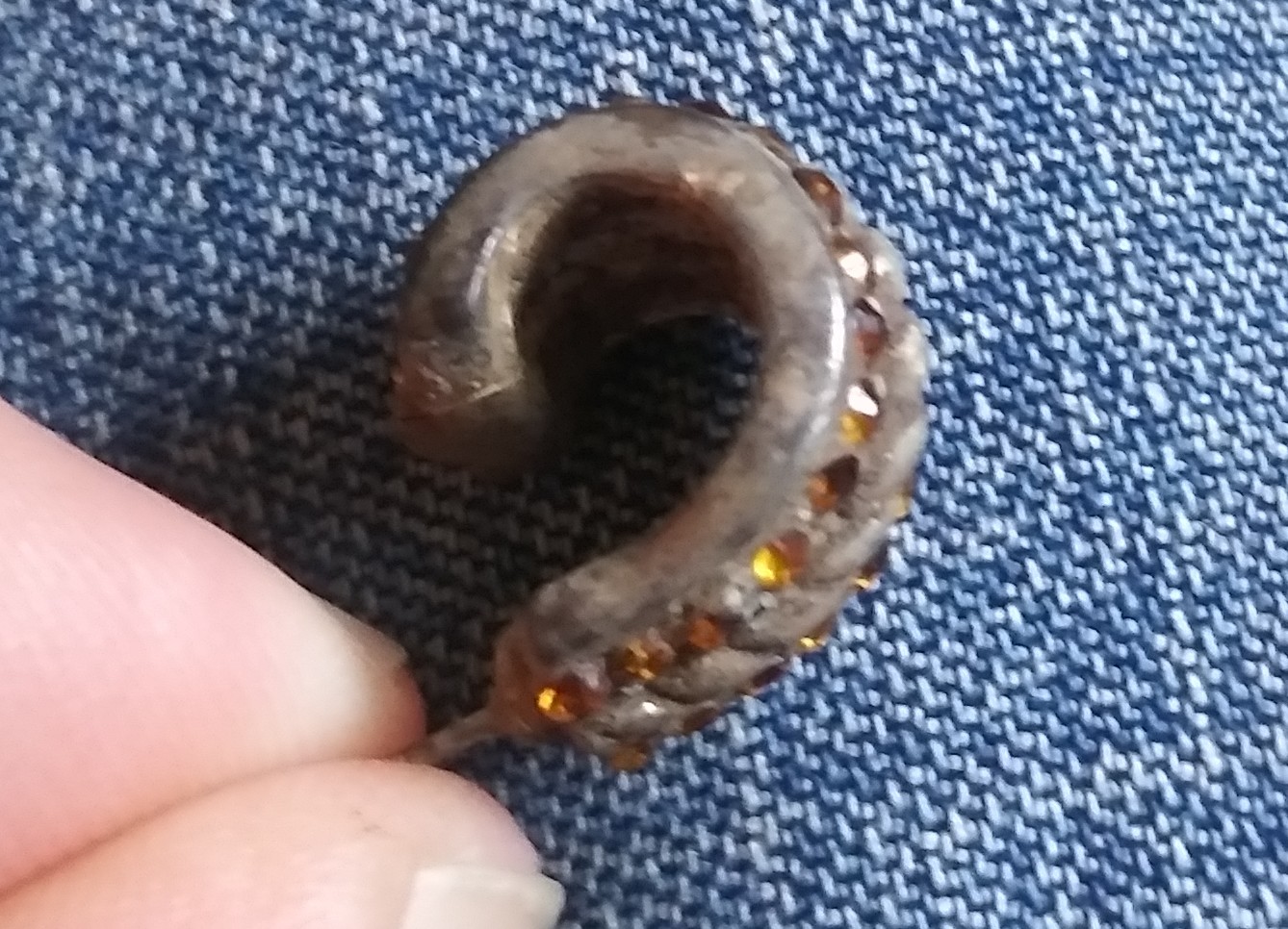 20190504_182442-1.jpg