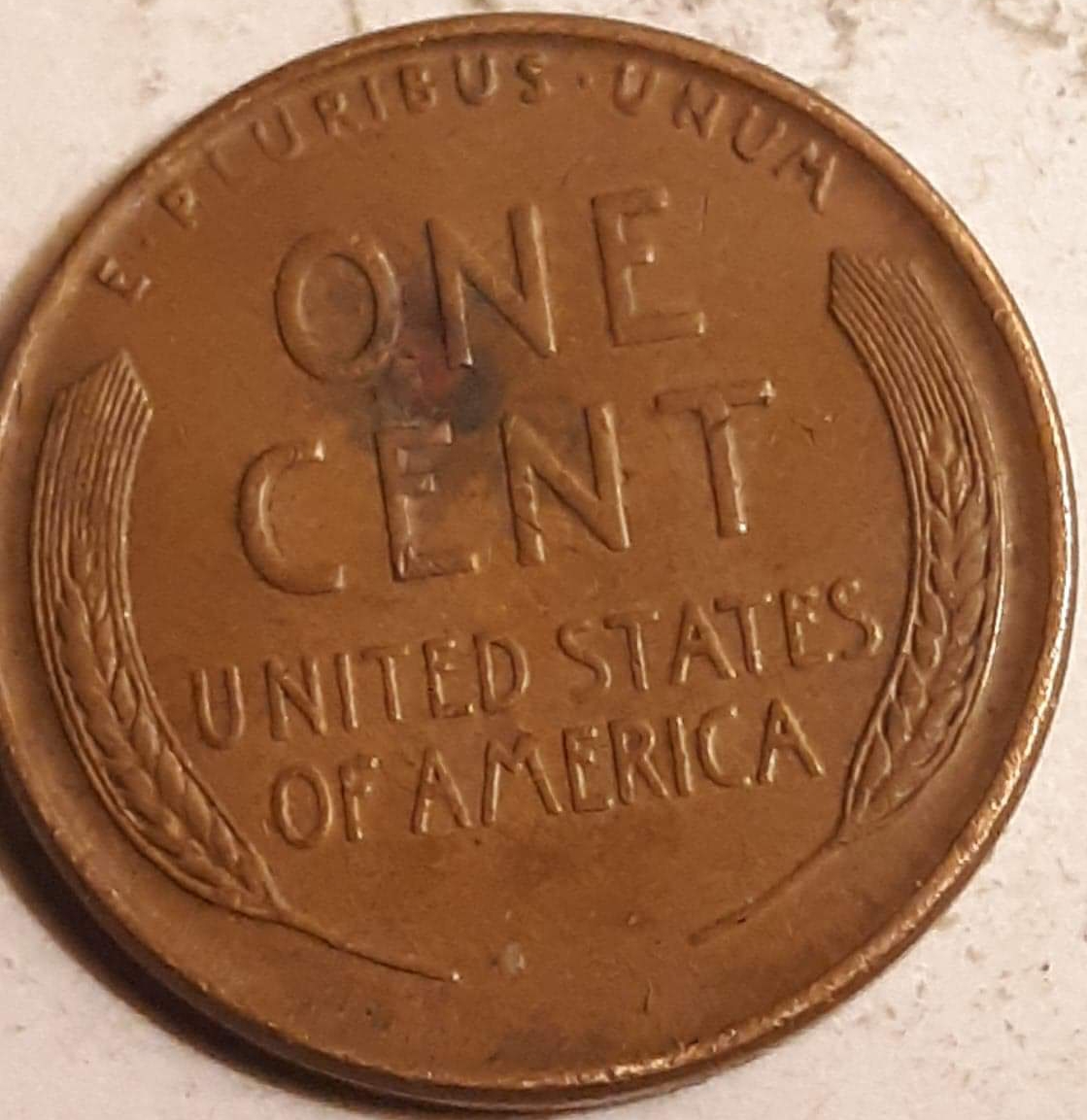 20190504_215746.jpg