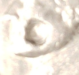 20190504_223415crop.jpg