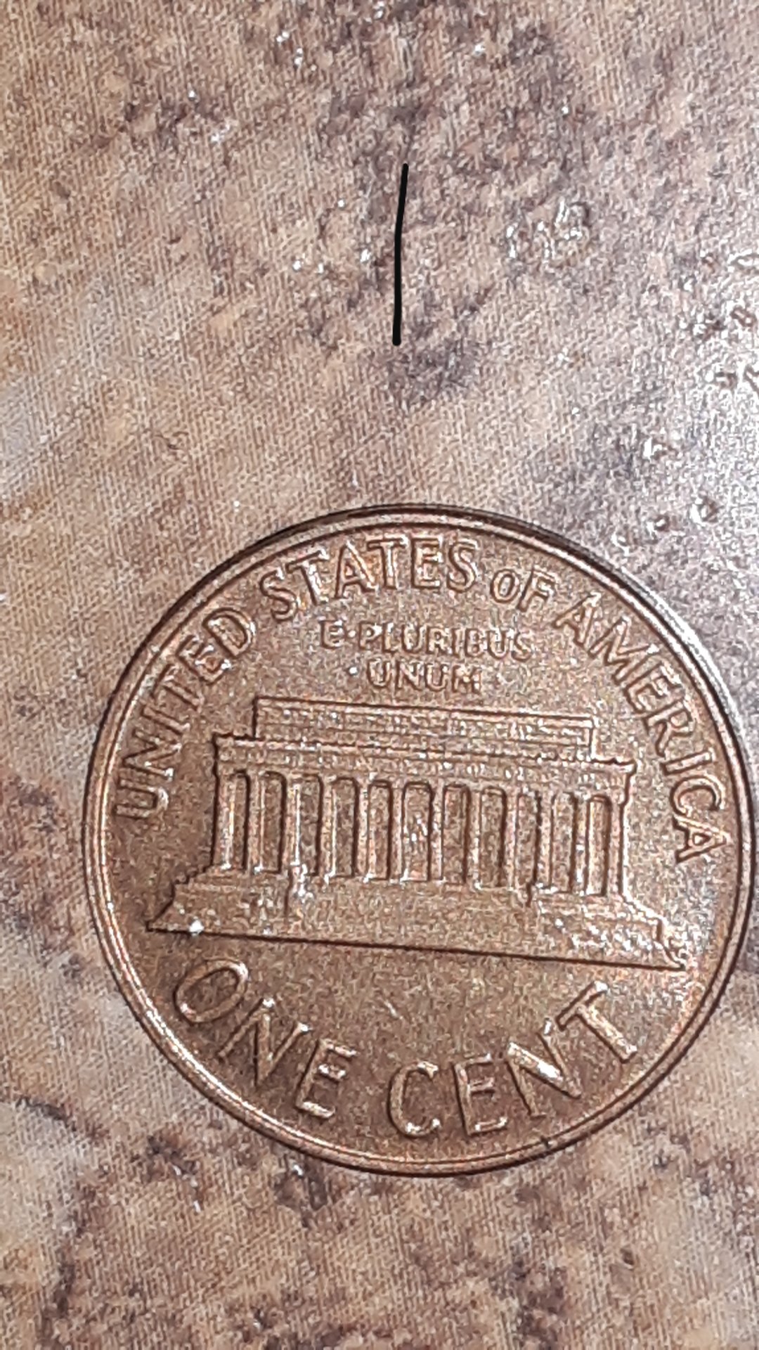 20190505_025538.jpg