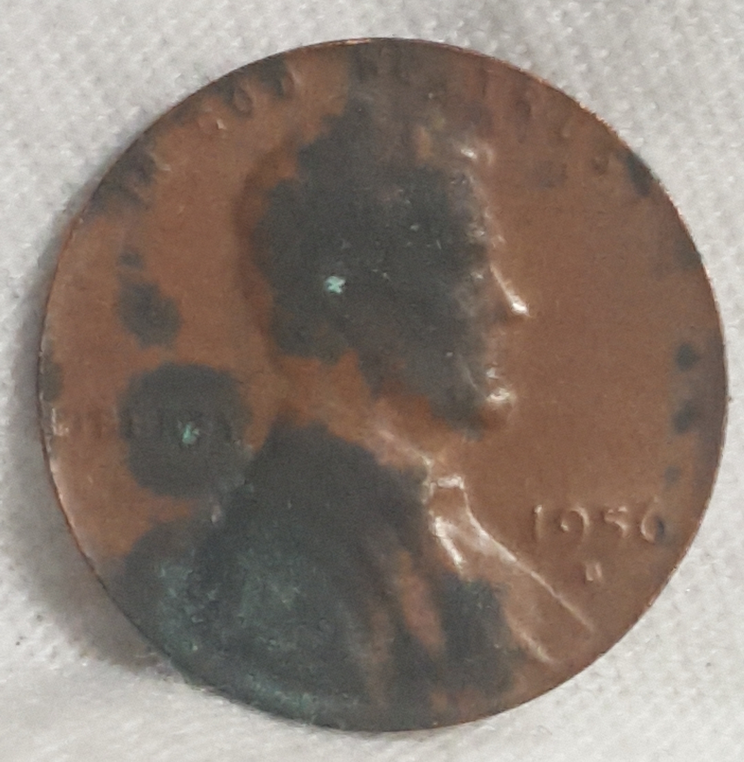 20190505_231941.jpg