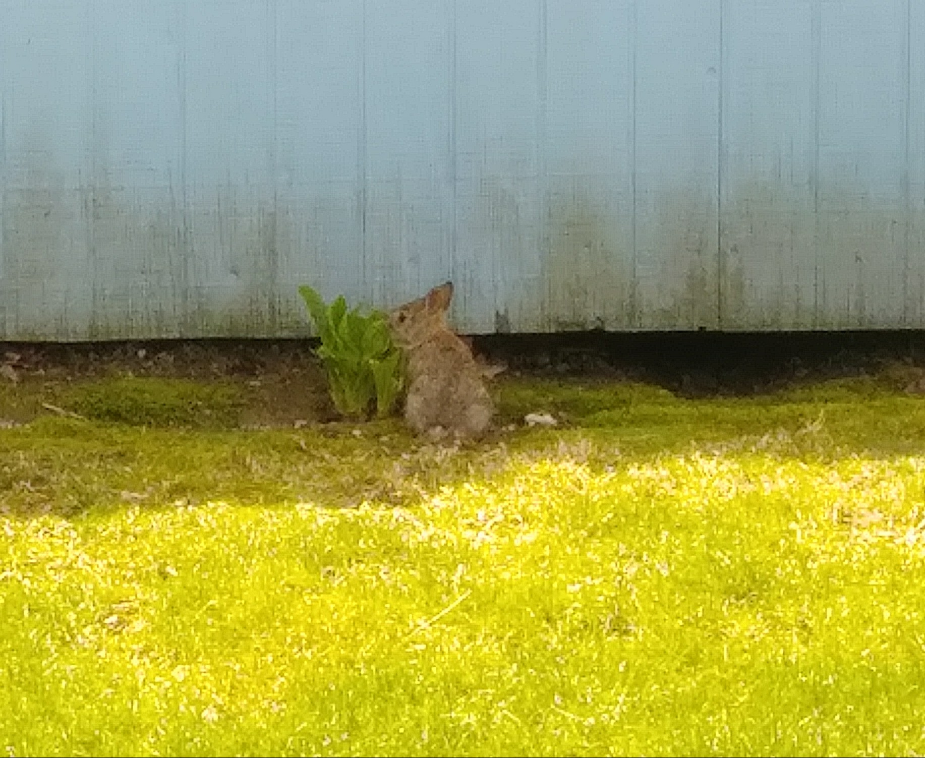 20190506_123940-1.jpg