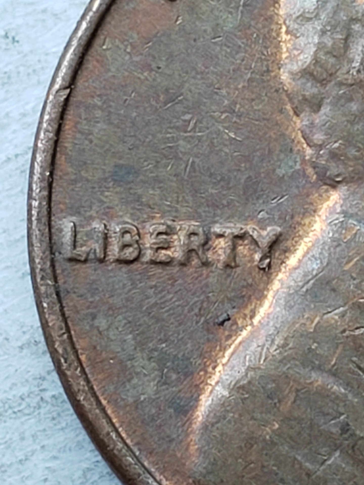 20190507_112216.jpg