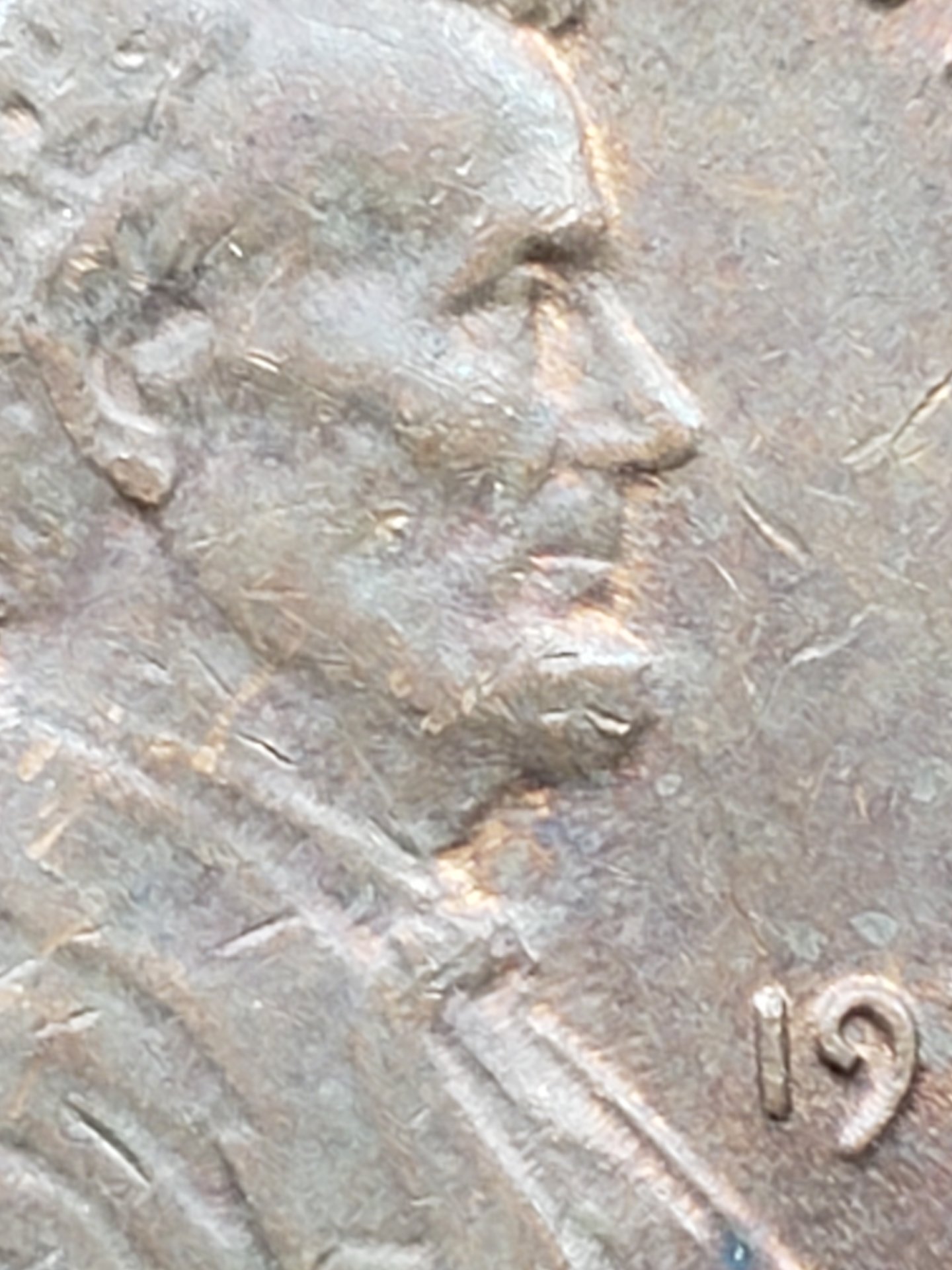 20190507_112316.jpg