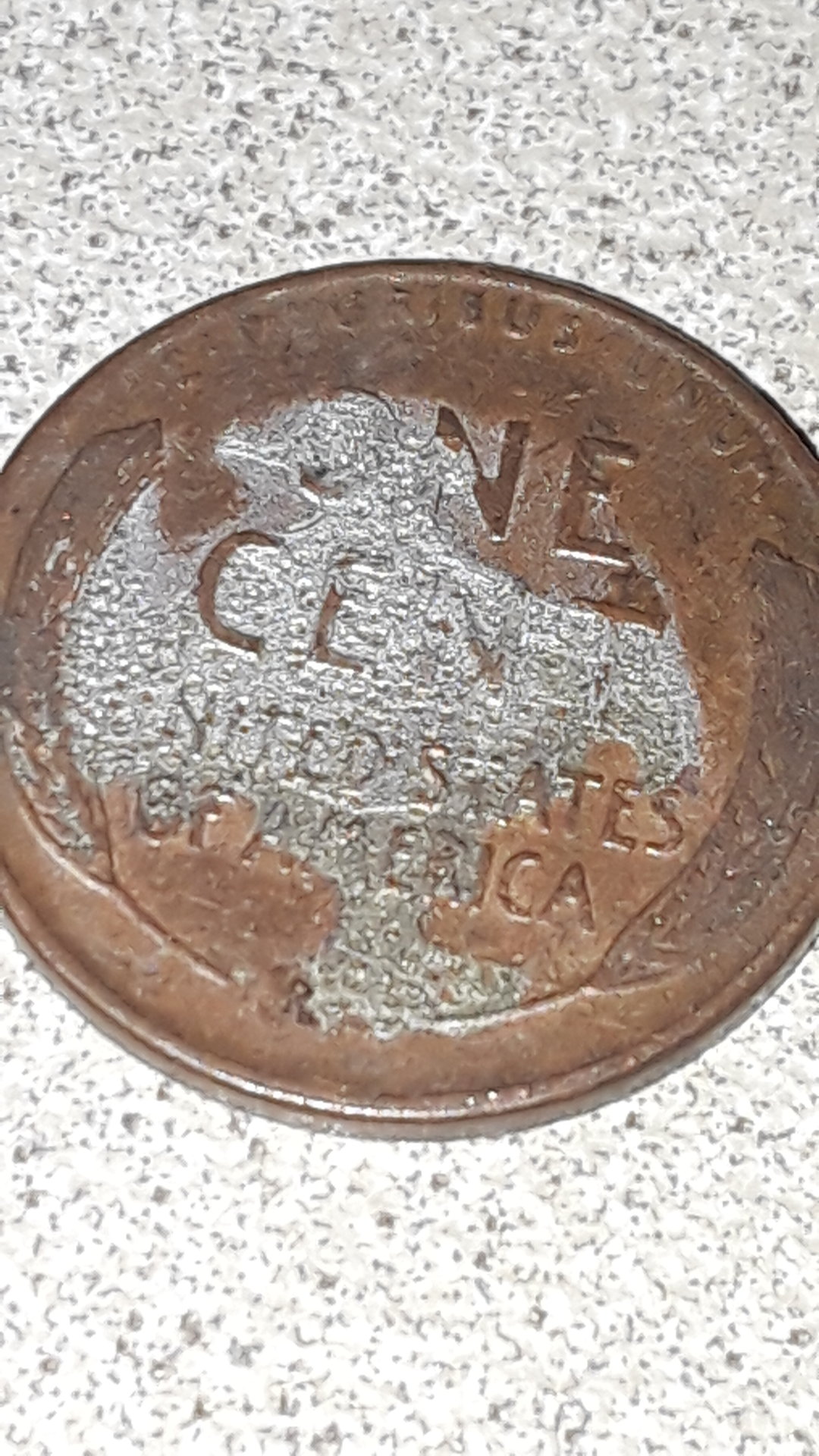 20190509_072315.jpg