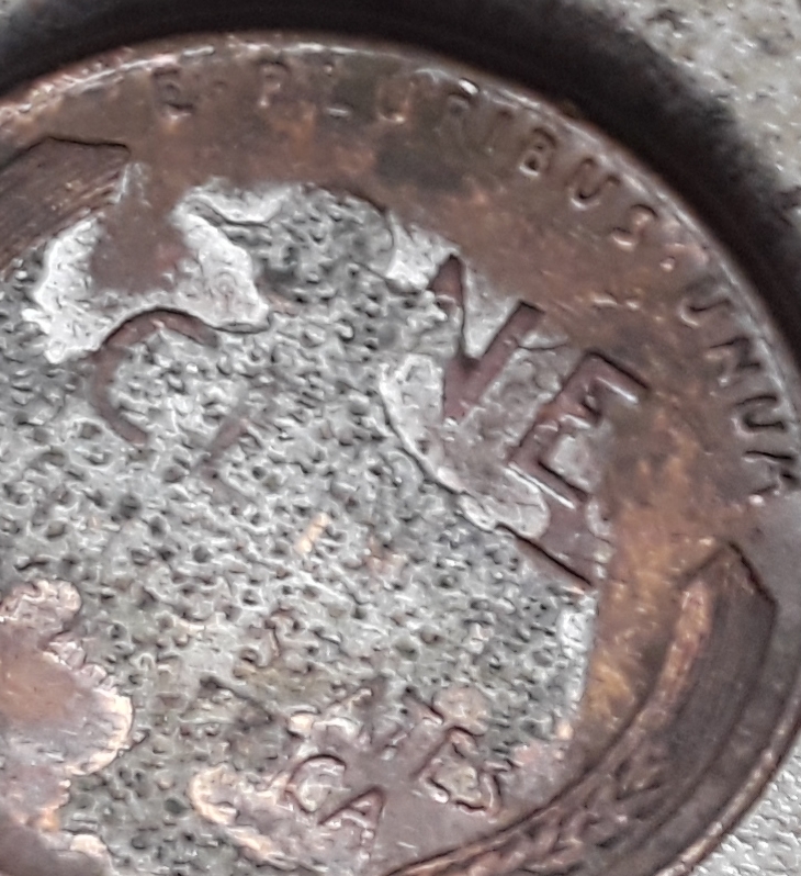 20190509_073431.jpg