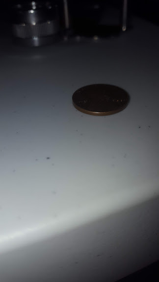 20190511_132022.jpg