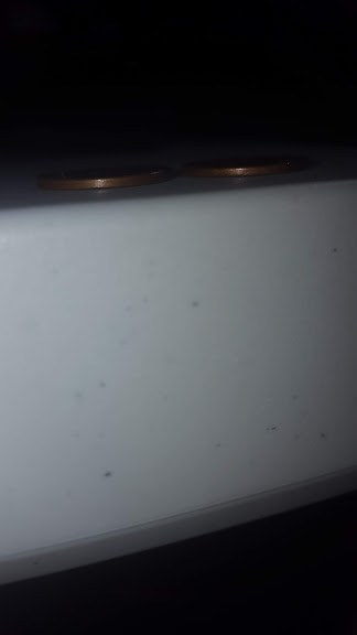20190511_132704.jpg
