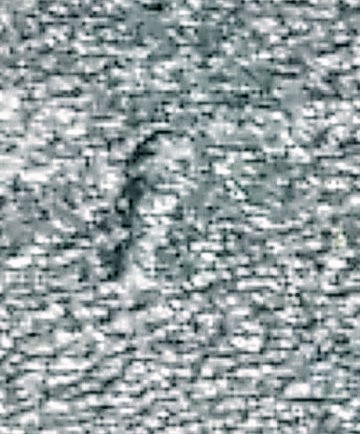20190512_184558-1-1~3.jpg