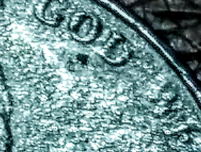 20190512_184558-1~2-1~2.jpg
