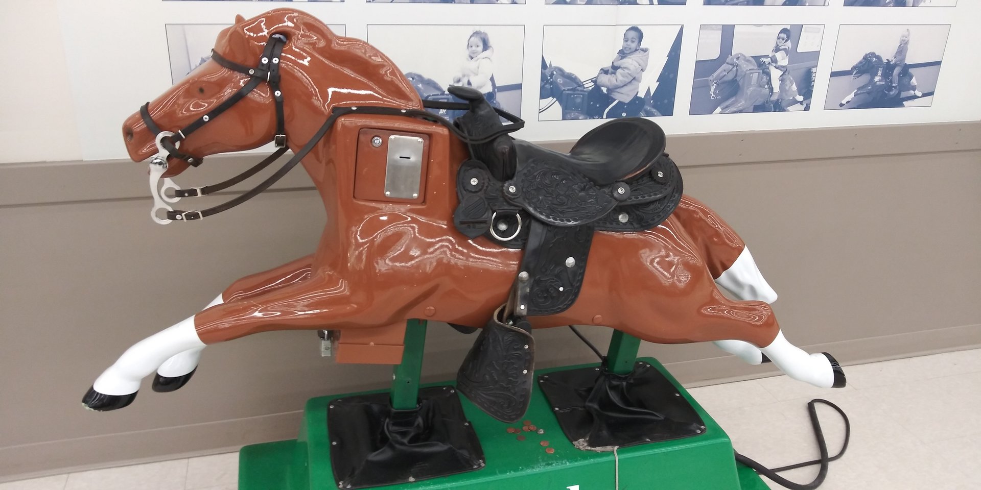 20190513_222948.jpg