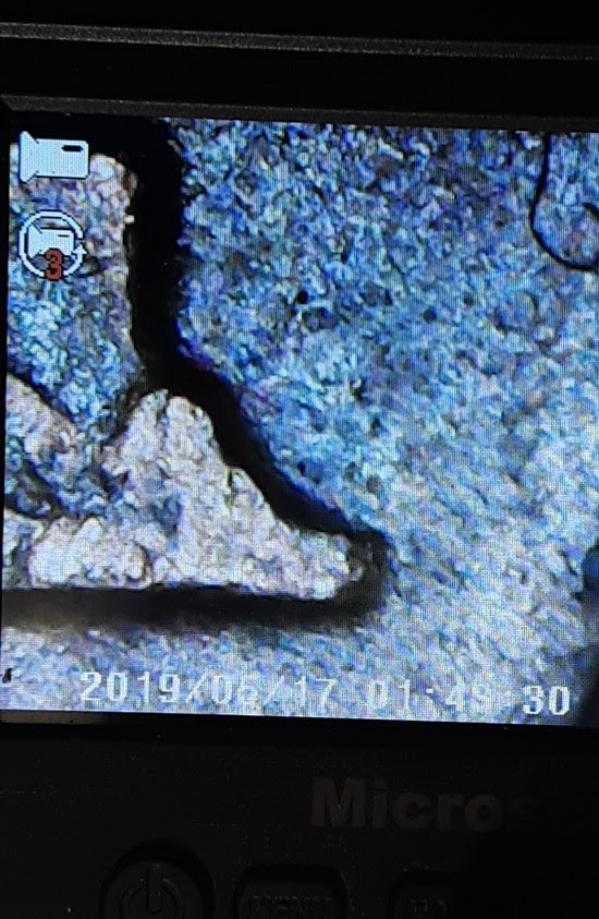 20190517_014420.jpg