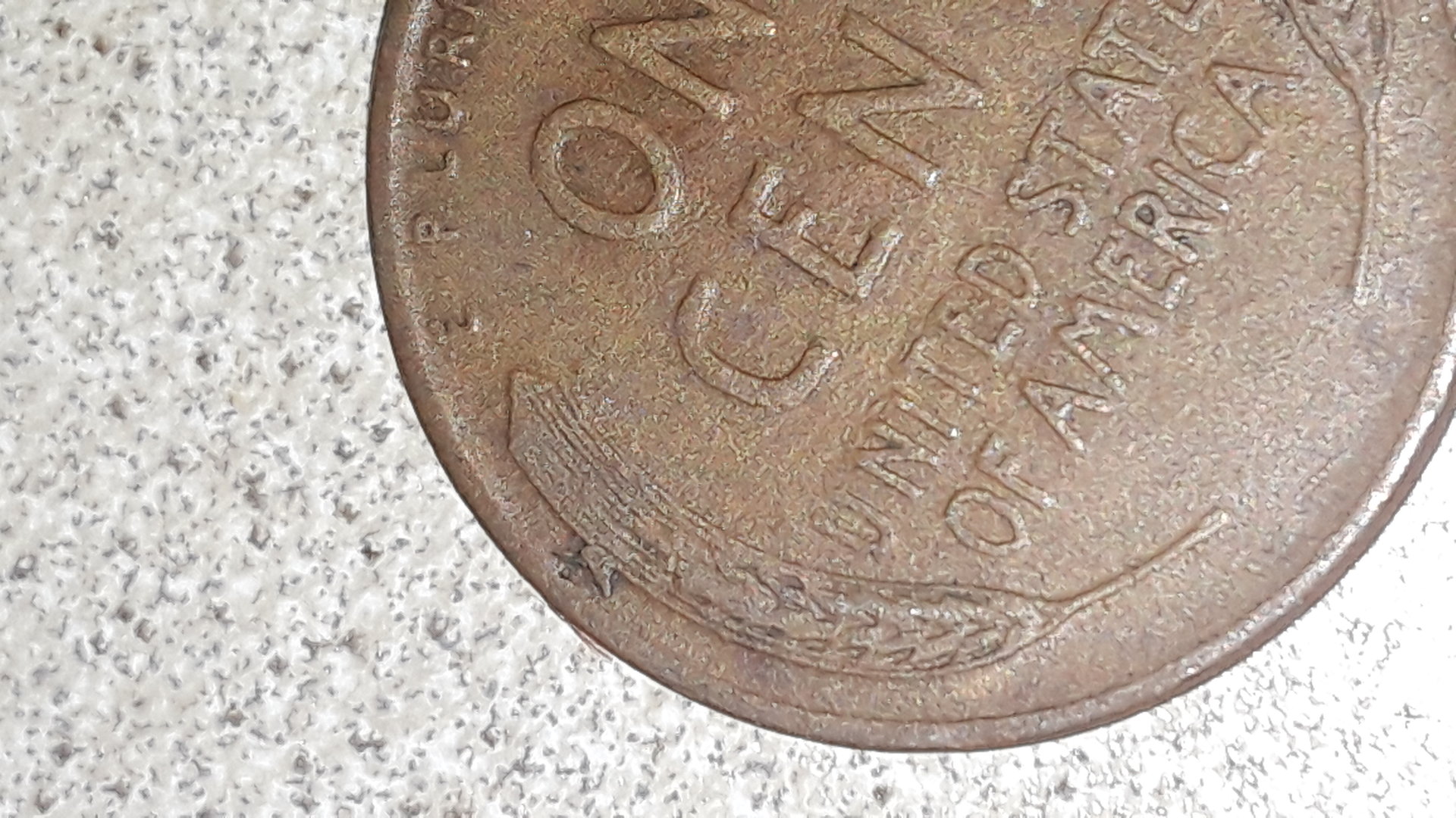 20190521_070458.jpg