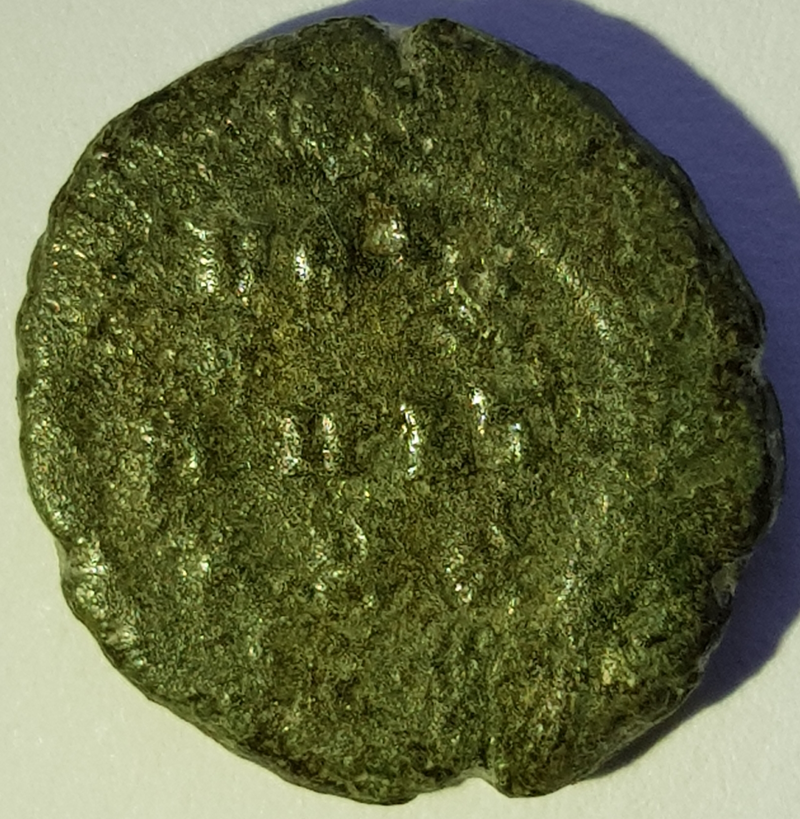20190525_102306.jpg