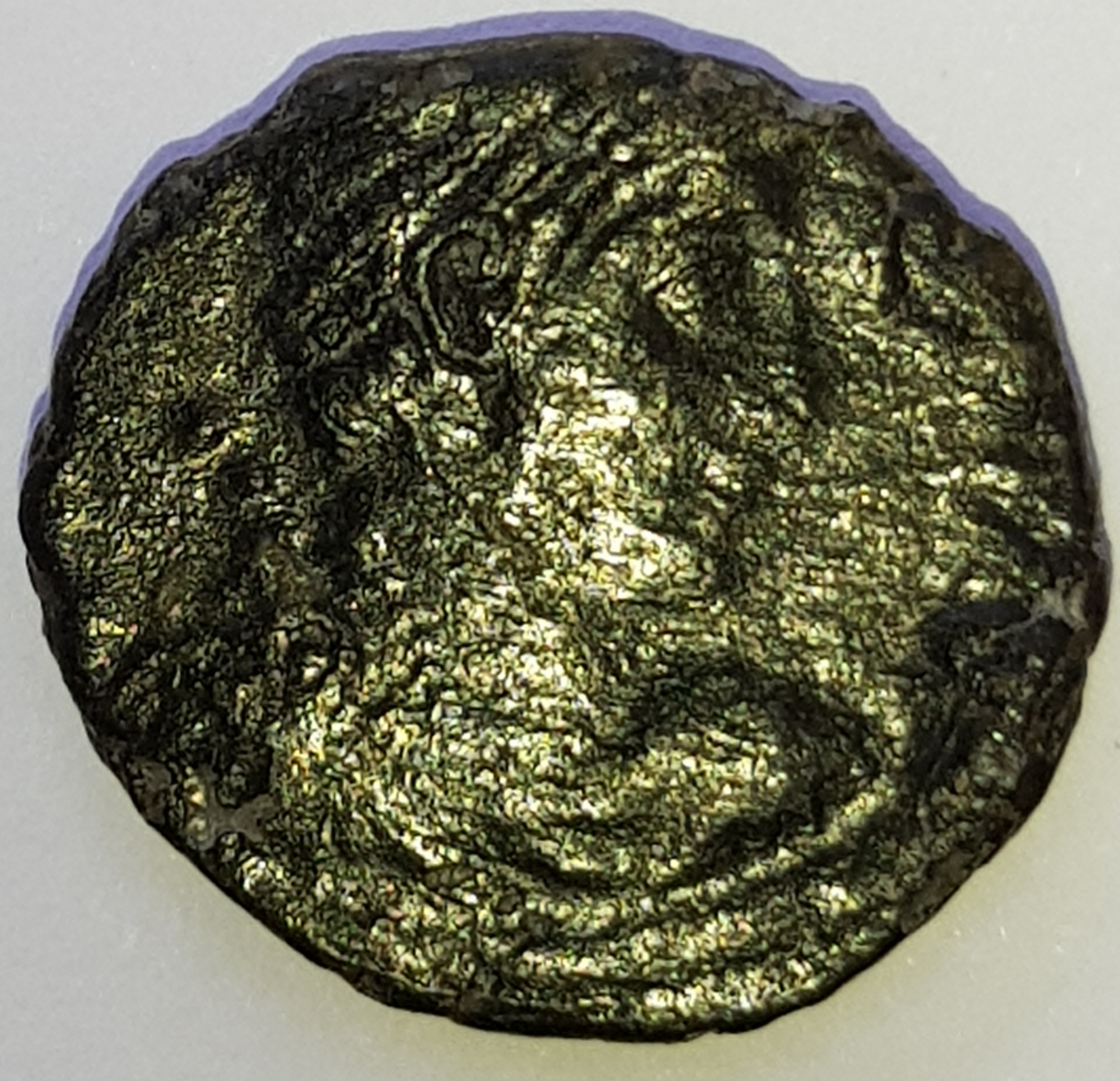 20190525_102407.jpg